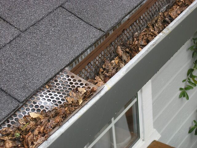 Blocked Gutters: One Of The Main Problems During House Inspection